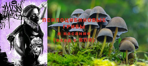 герыч Верхний Тагил