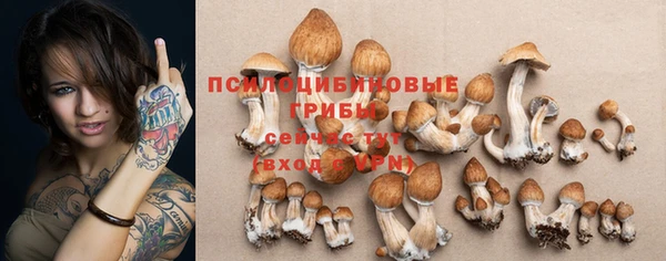 крисы Верхнеуральск