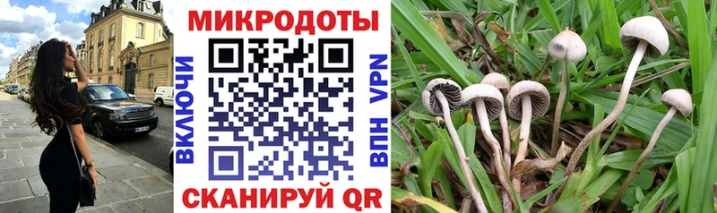 Псилоцибиновые грибы мухоморы  мориарти клад  Заозёрный  наркошоп 